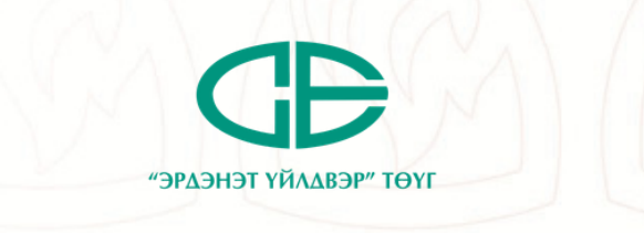 "Эрдэнэт үйлдвэр" ТӨҮГ